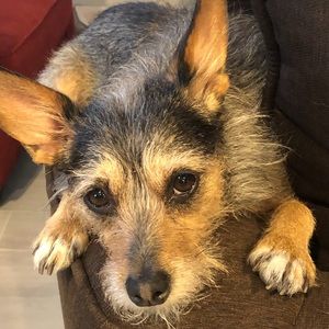 Meet your Posher, Brian